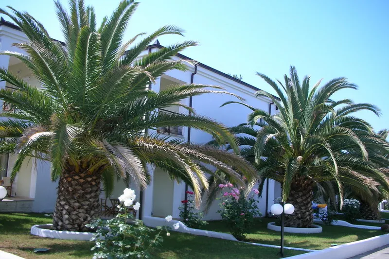 Hotel Alexandra Beach