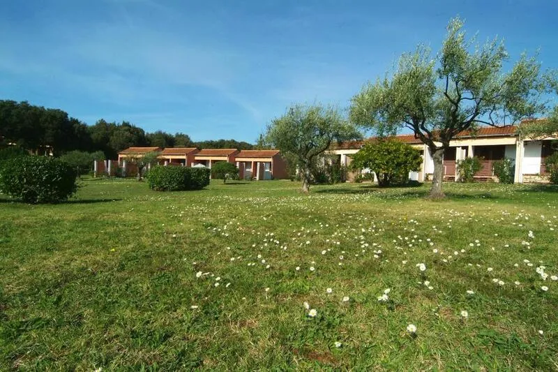 Istra - Vrsar - Leto 2026. - Hrvatska - Hotel Tourist Resort Koversada 2* - slika 2