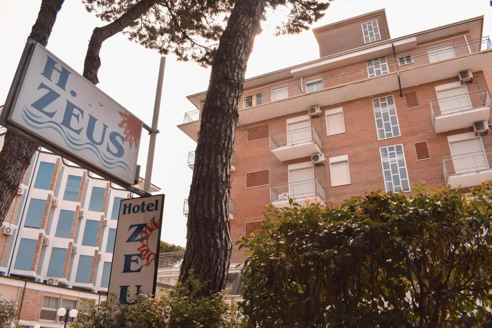 Hotel Zeus