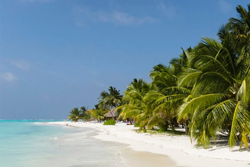 Meeru Island Resort - slika 5