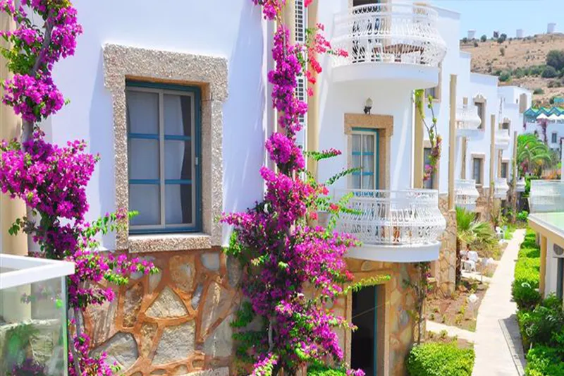 Siesta Beach Apart - slika 3