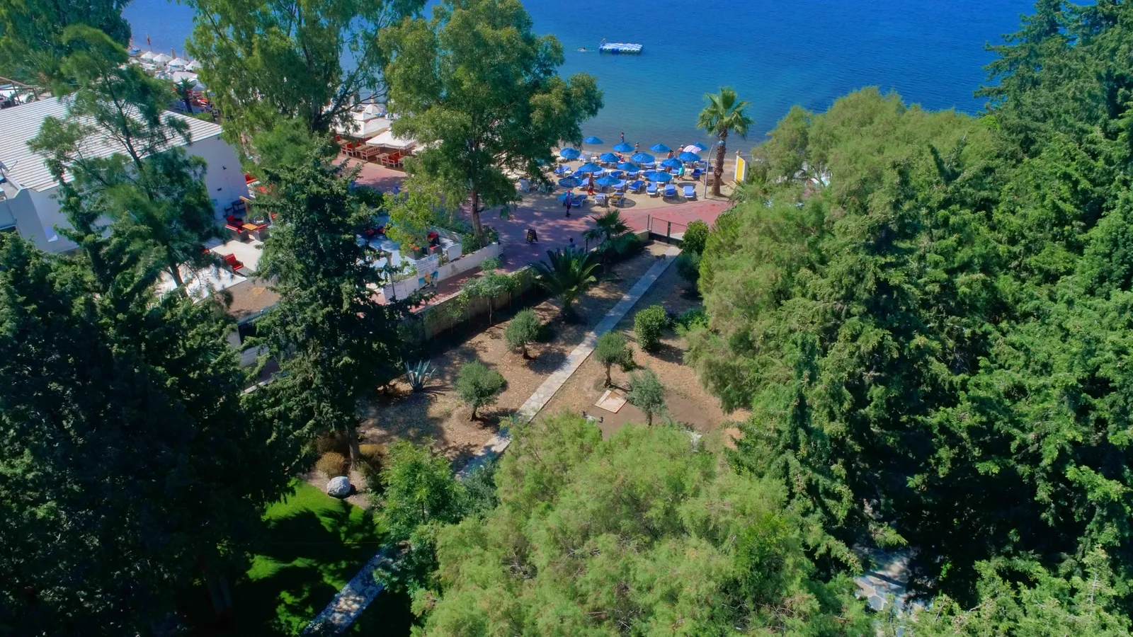 Summer Garden Suites and Beach Hotel (EX apart) - slika 2